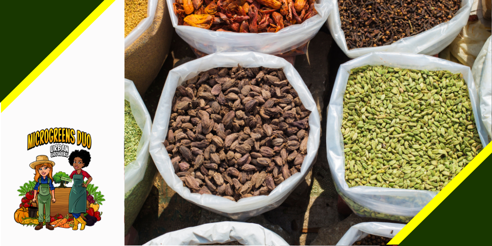 bulk seeds