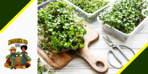 commercial growing