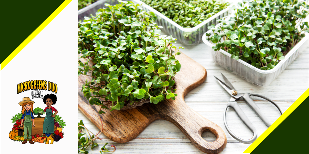 commercial growing